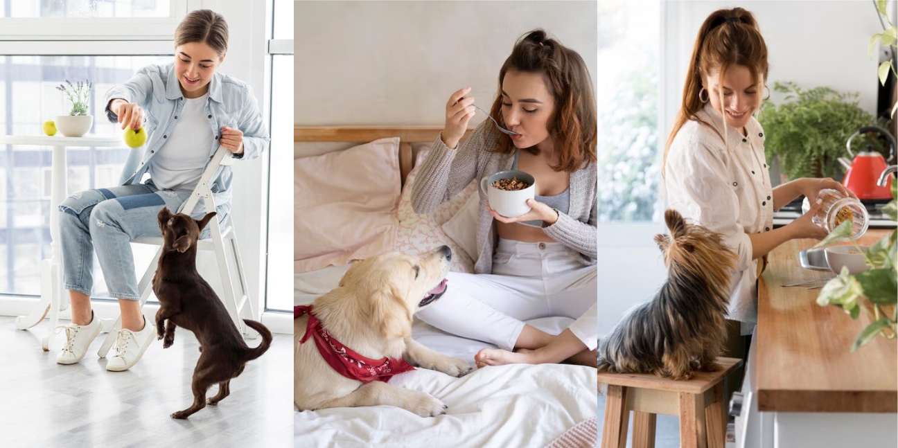 How to Build the Perfect Daily Routine for Your Pet