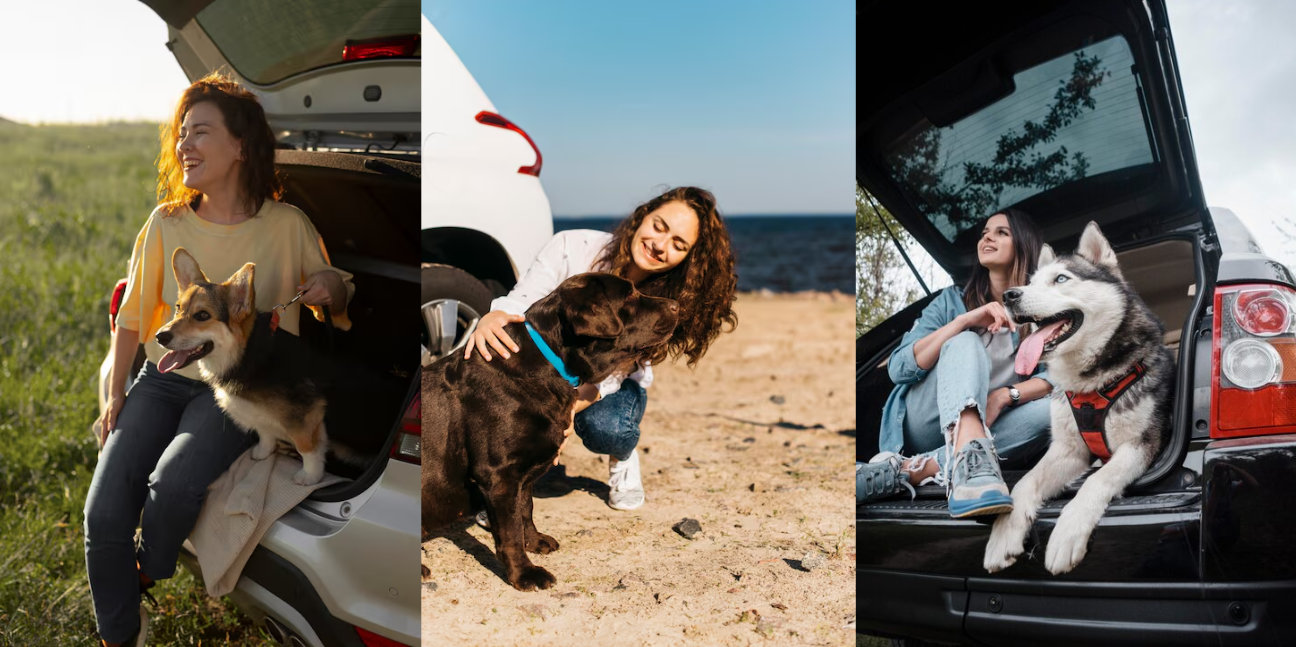 How to Travel with Your Pet Without Unnecessary Stress?