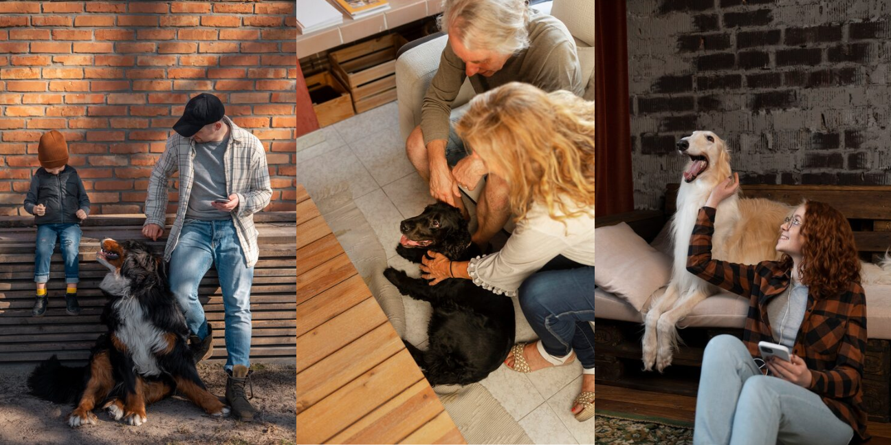 Understanding Your Pet Through Different Life Stages
