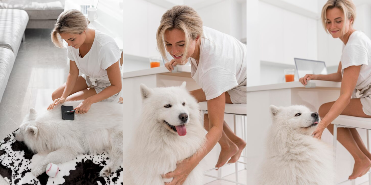 The Most Common Health Problems in Pets and How to Prevent Them