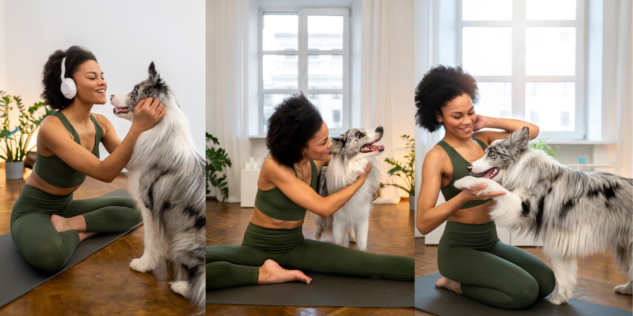 Signs Your Pet Is Happier and Healthier Than Ever